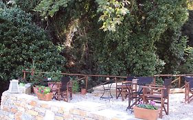 Vergopoulou Oliveyard