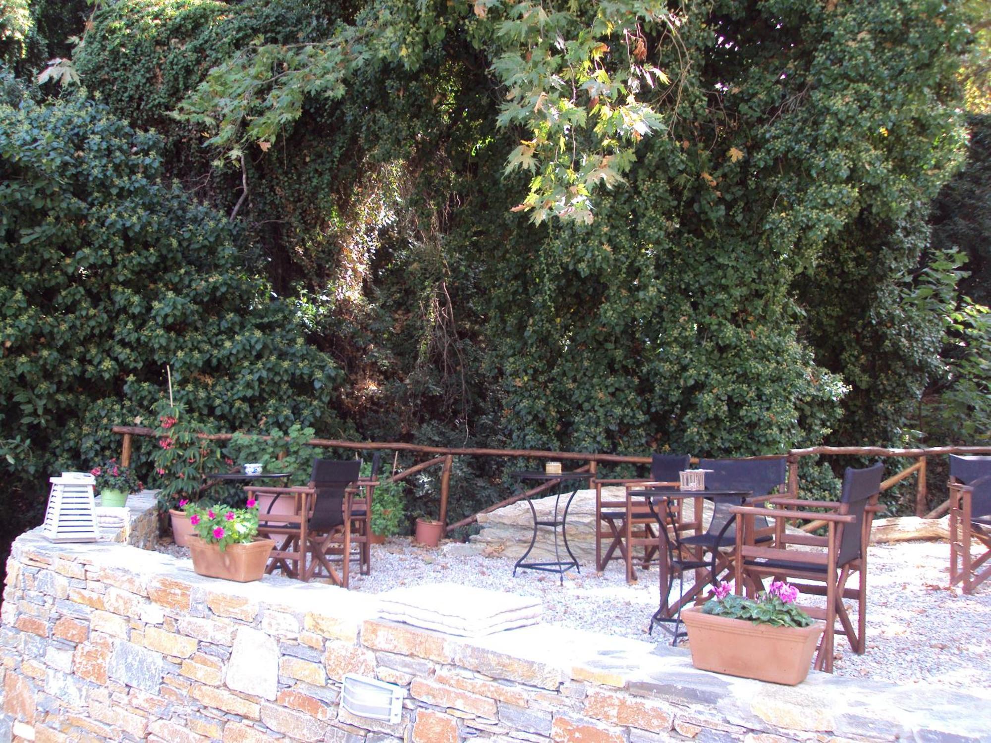 Vergopoulou Oliveyard Mourésion Extérieur photo