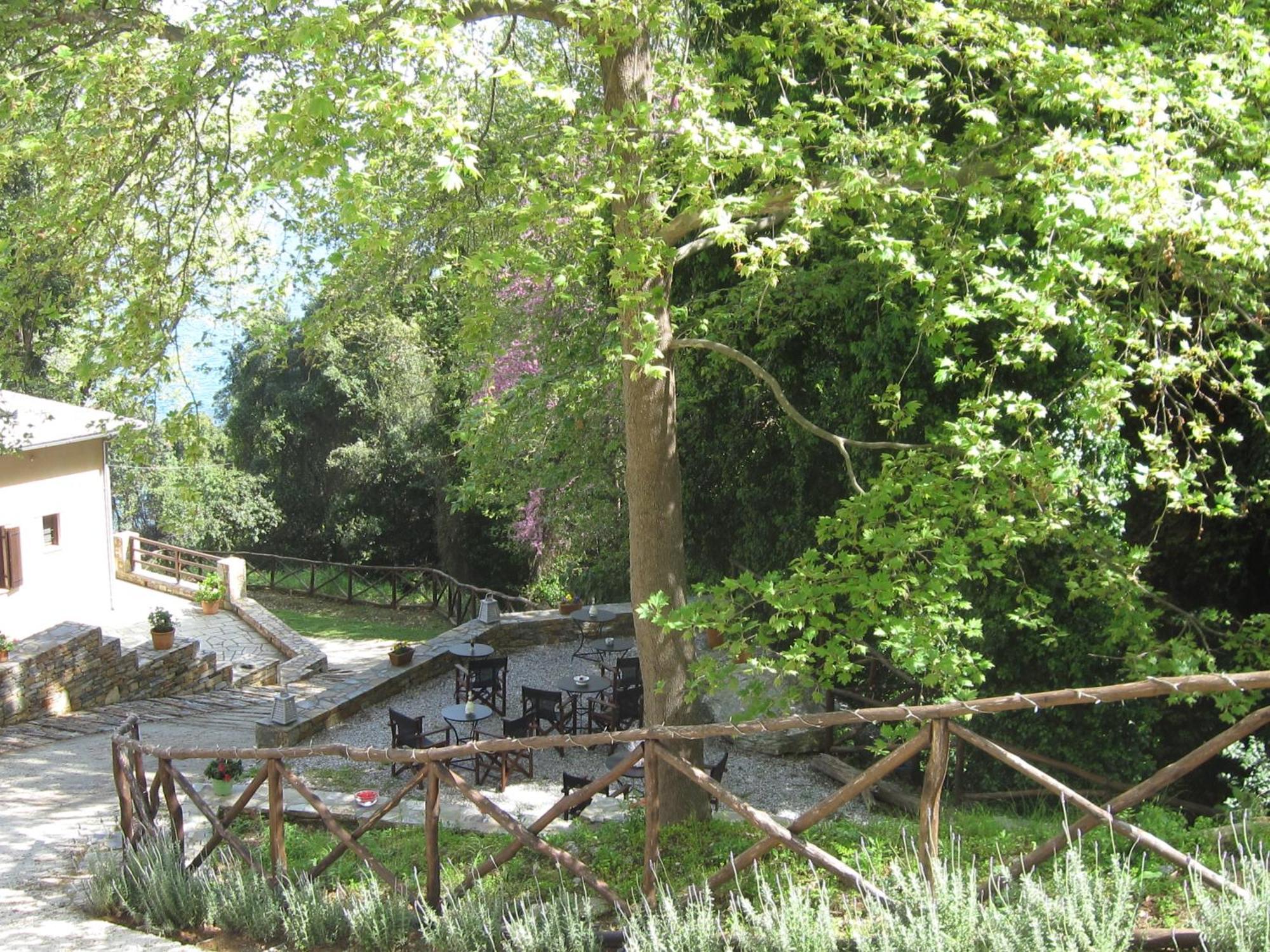 Vergopoulou Oliveyard Mourésion Extérieur photo